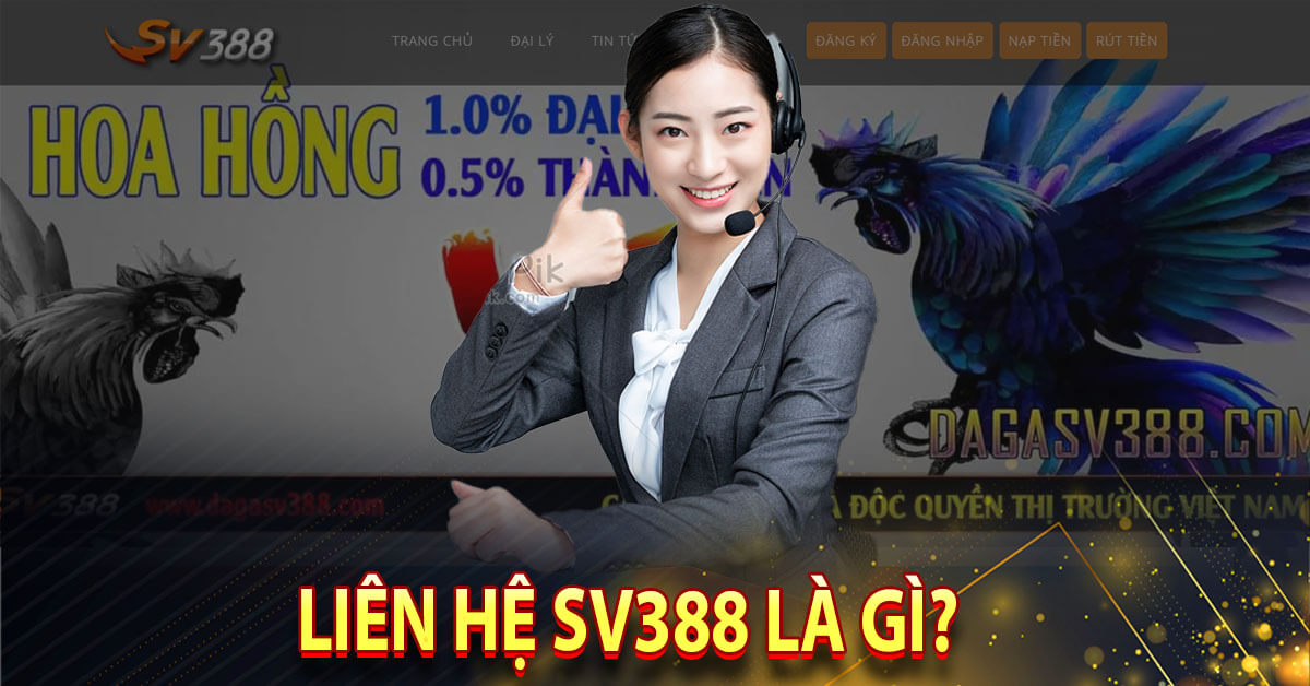 Liên hệ sv388 là gì?