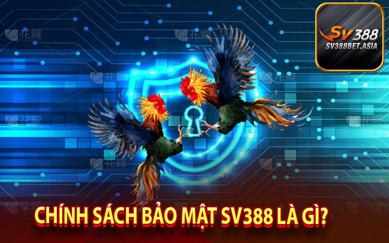 Chính sách bảo mật sv388 là gì?