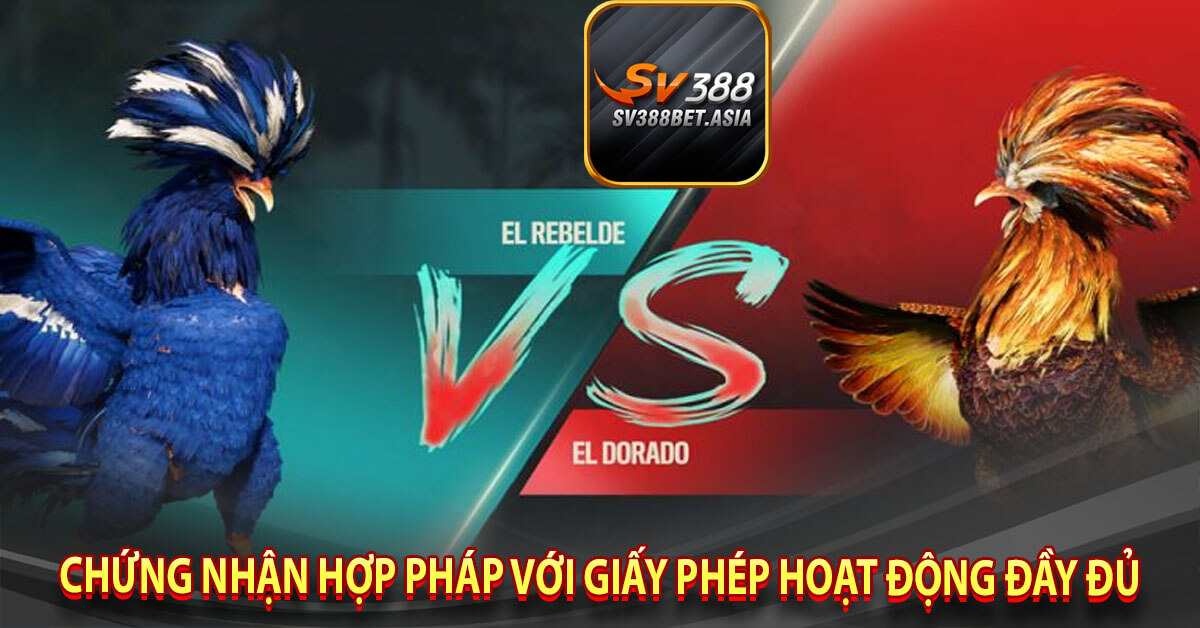 Chứng nhận hợp pháp với giấy phép hoạt động đầy đủ
