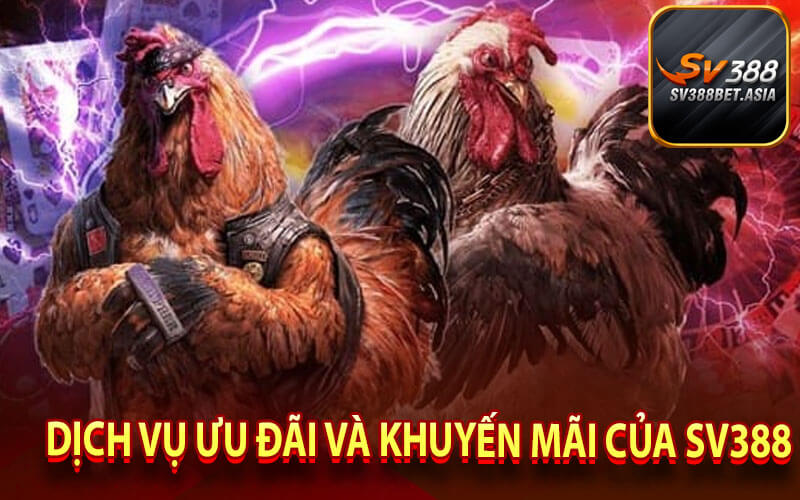 Dịch vụ ưu đãi và khuyến mãi của sv388