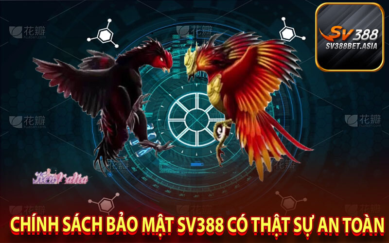 Chính sách bảo mật sv388 có thật sự an toàn
