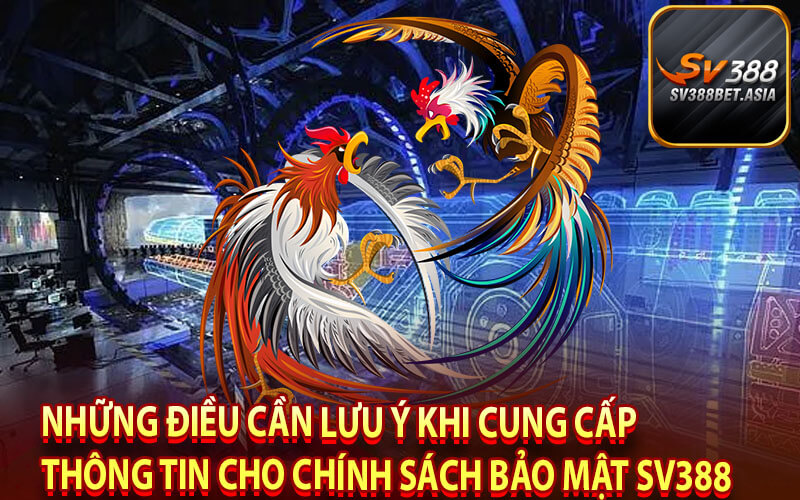 Những điều cần lưu ý khi cung cấp thông tin cho chính sách bảo mật sv388
