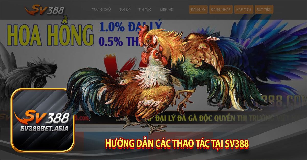 Hướng dẫn các thao tác tại Sv388