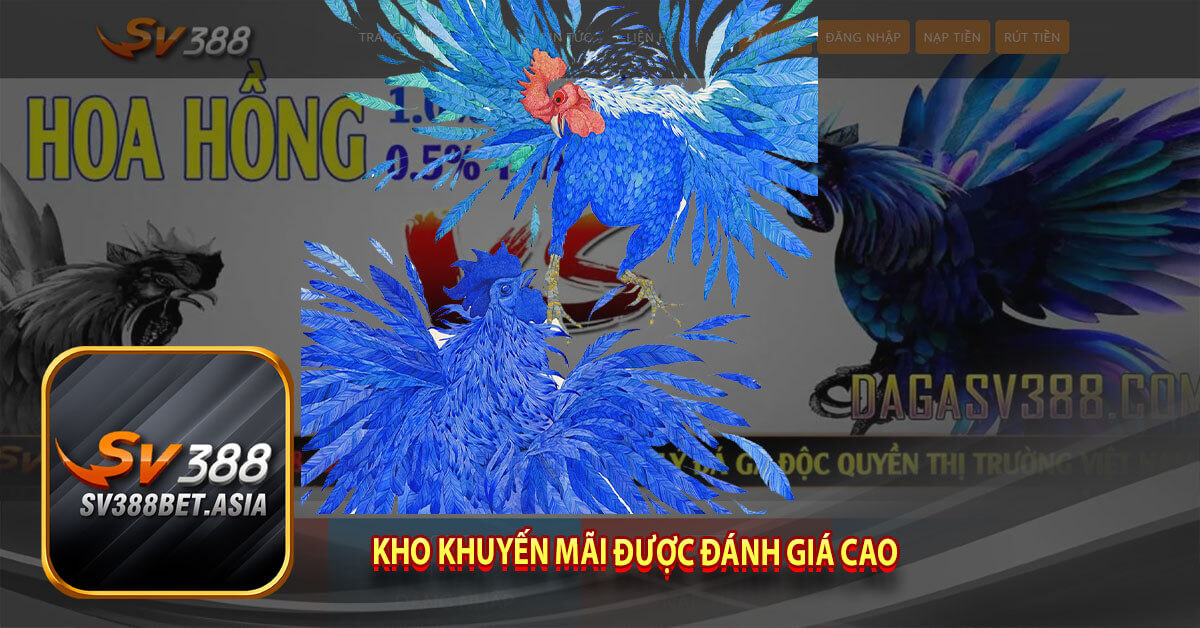 Kho khuyến mãi được đánh giá cao