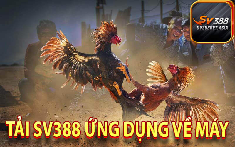 Tải Sv388 ứng dụng về máy