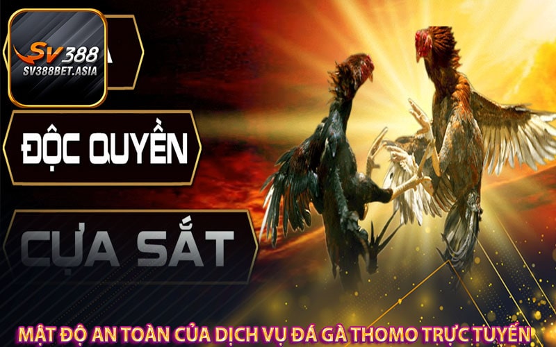 Mật độ an toàn của dịch vụ đá gà thomo trực tuyến