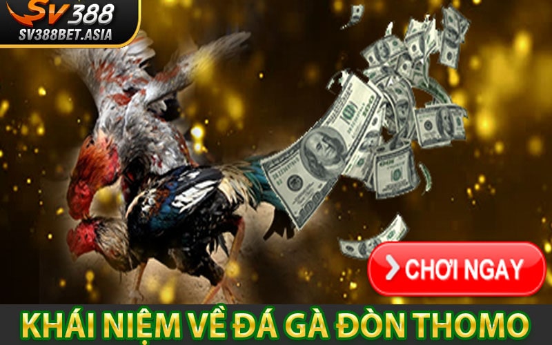 Khái niệm về Đá gà đòn Thomo
