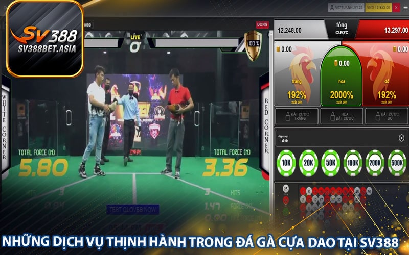 Những dịch vụ thịnh hành trong đá gà cựa dao tại sv388