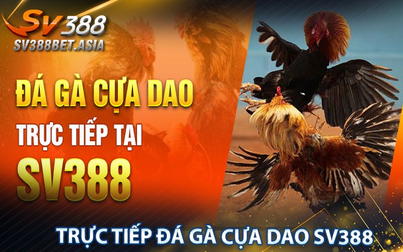 Trực tiếp đá gà cựa dao sv388
