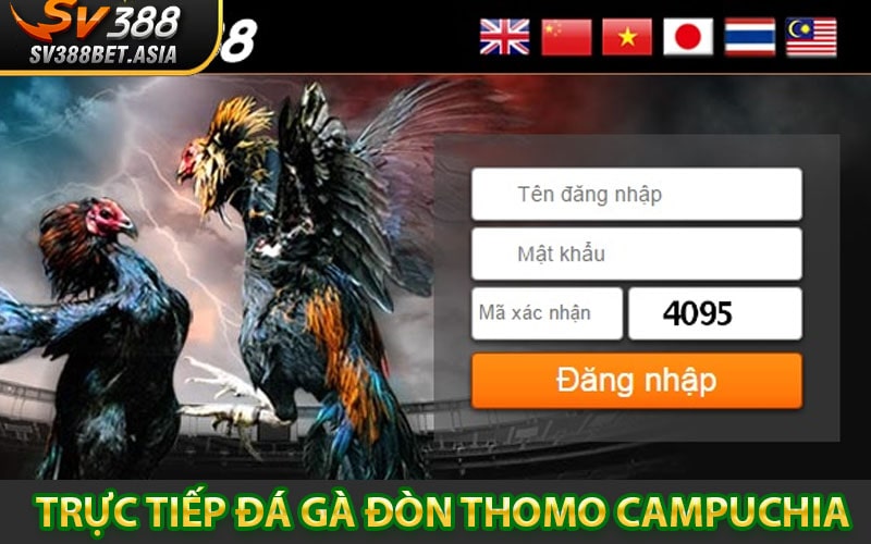 Tổng quan về Trực tiếp đá gà đòn Thomo Campuchia