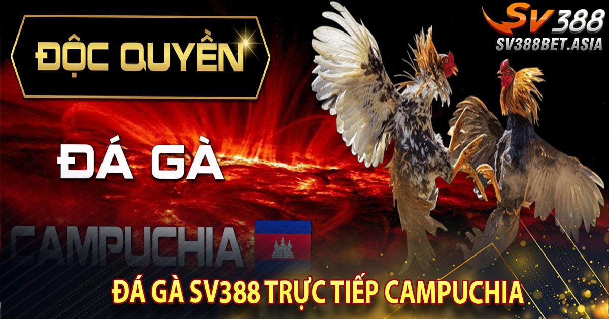 Đá gà sv388 trực tiếp campuchia