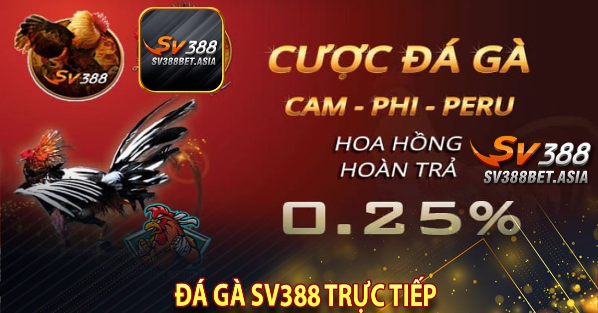 Sv388 trực tiếp