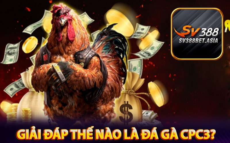 Giải đáp thế nào là Đá gà cpc3?