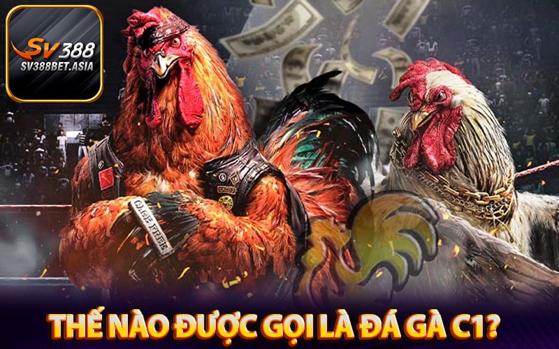 Thế nào được gọi là đá gà c1?