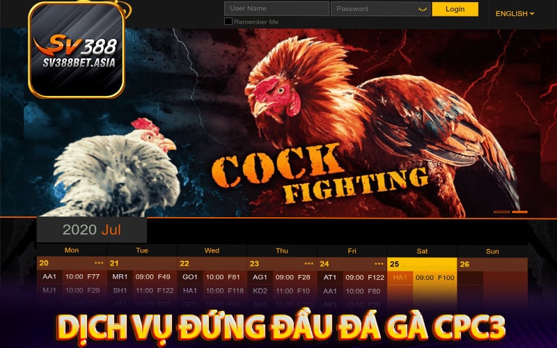 Một số dịch vụ đứng đầu của đá gà cpc3
