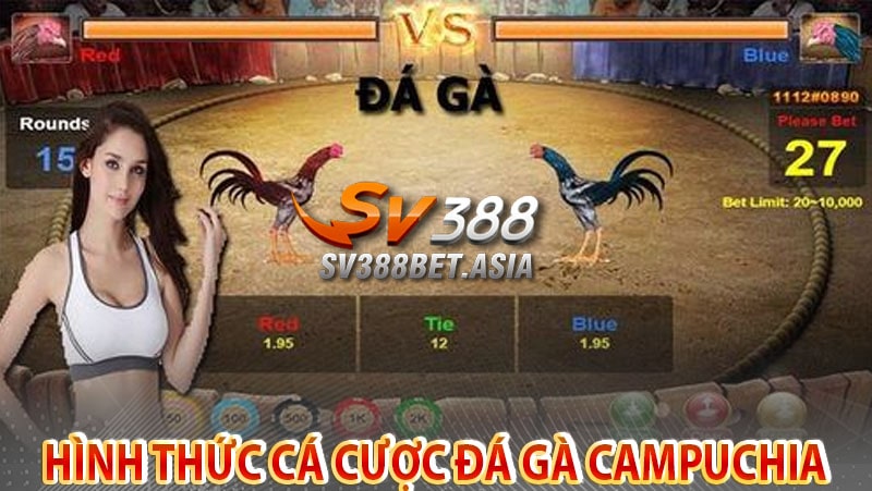 Hình thức cá cược đá gà campuchia phổ biến tại sv388