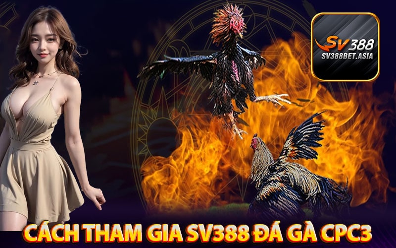 Phương thức để tham gia sv388 đá gà cpc3