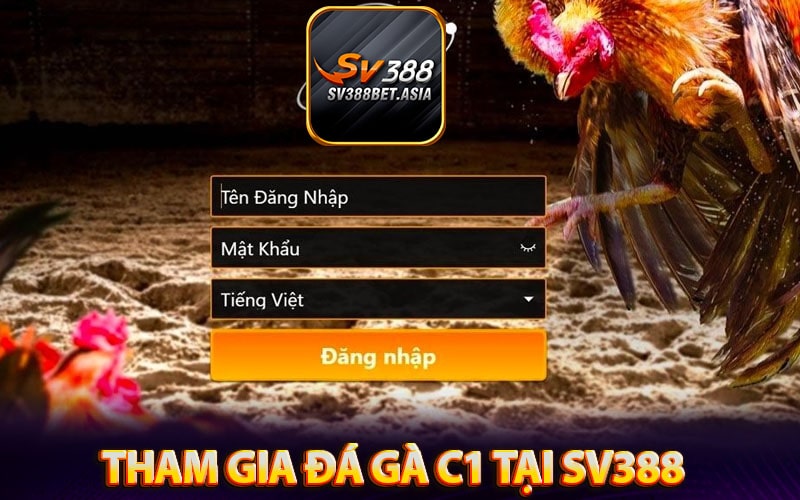 Những bước để tham gia đá gà c1 trực tiếp tại sv388