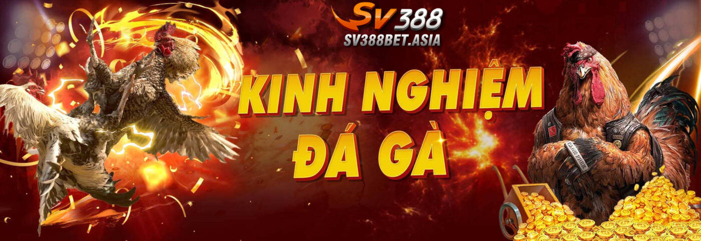 sv388