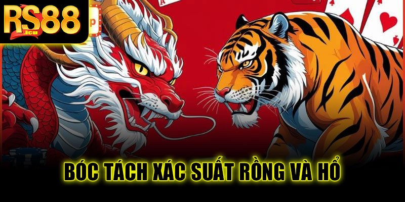 Bóc tách xác suất Rồng và Hổ cùng chuyên gia RS88