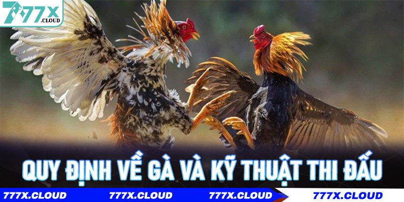 Quy định về gà và kỹ thuật thi đấu